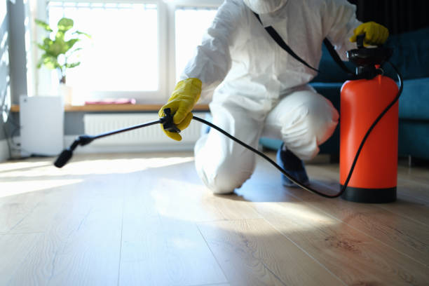 Best Local Pest Control Services  in Navy, VA