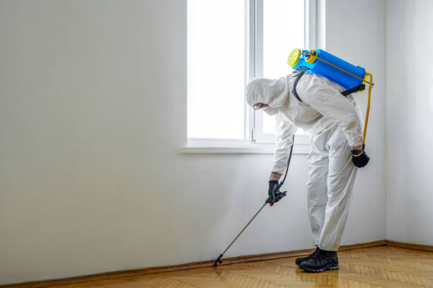 Best Mosquito Control Services  in Navy, VA