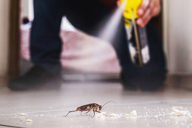 Best Commercial Pest Control Services  in Navy, VA